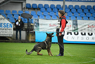 Qhaleesi vom Falkay`s Hof